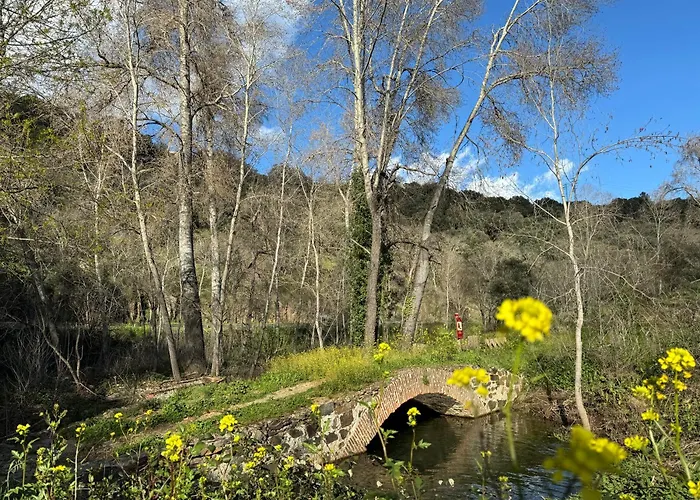 El Patio De Los Naranjos