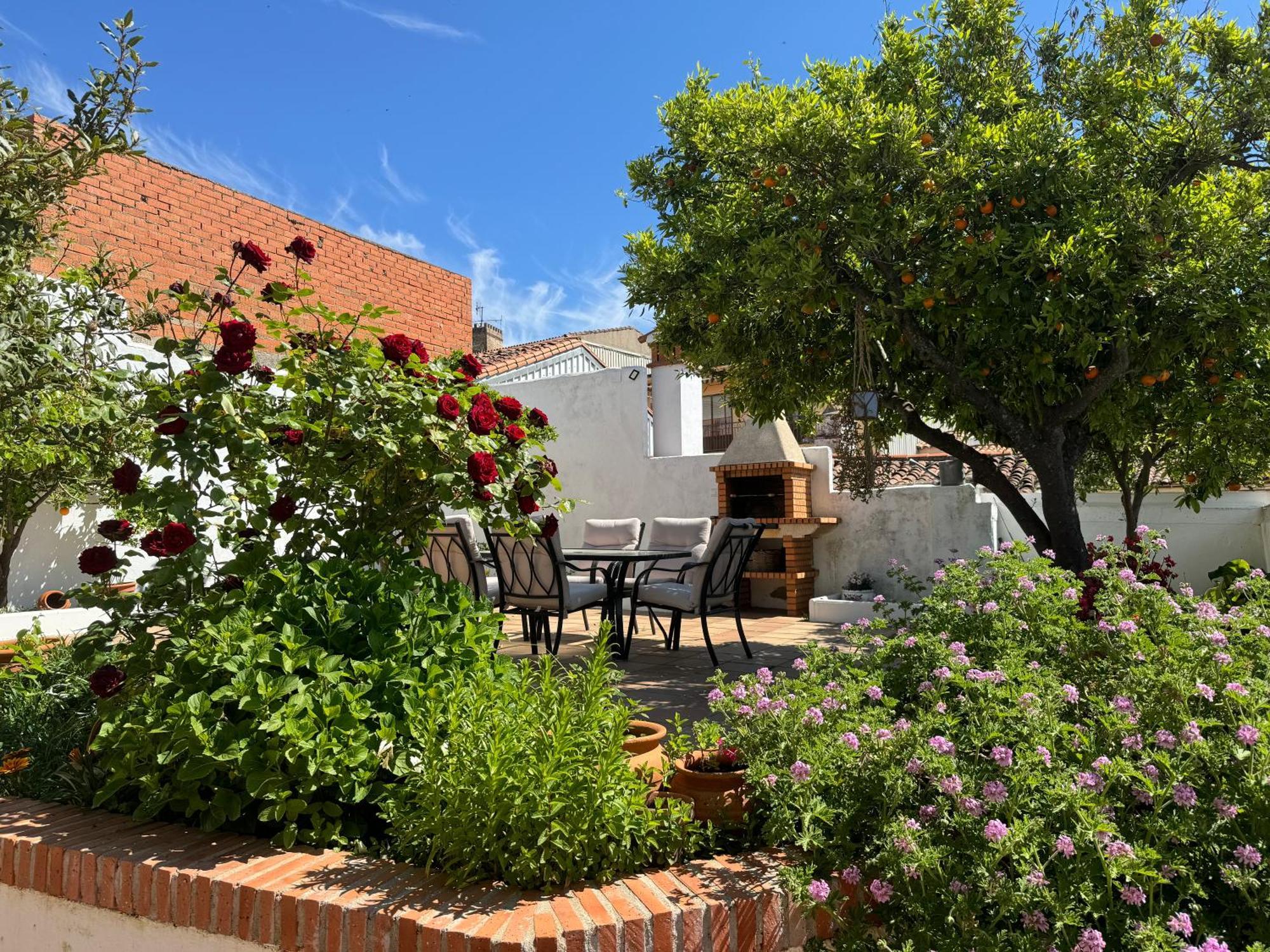 El Patio De Naranjos Apartment