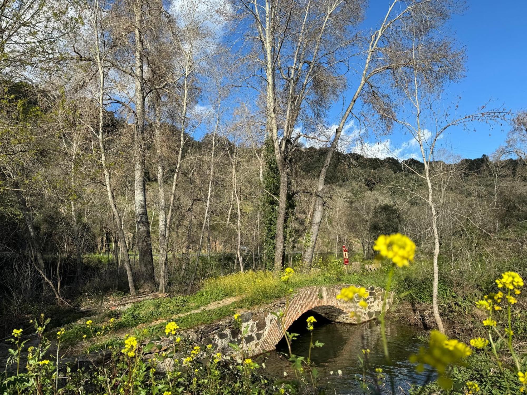 El Patio De Naranjos * Guadalupe (Extremadura)